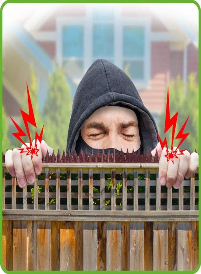 De-Bird: Defender Spikes, Cat and Bird Deterrent - Outdoor Pest Defender to Keep Off Pigeon, Squirrel, Woodpecker & More, Plastic Deterrent Anti Theft Climb Strips - 12pk [12 Foot] - Image 5