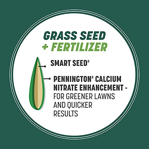 Pennington Smart Seed Sun and Shade Tall Fescue Grass Seed Mix for Southern Lawns 7 lb - Image 4