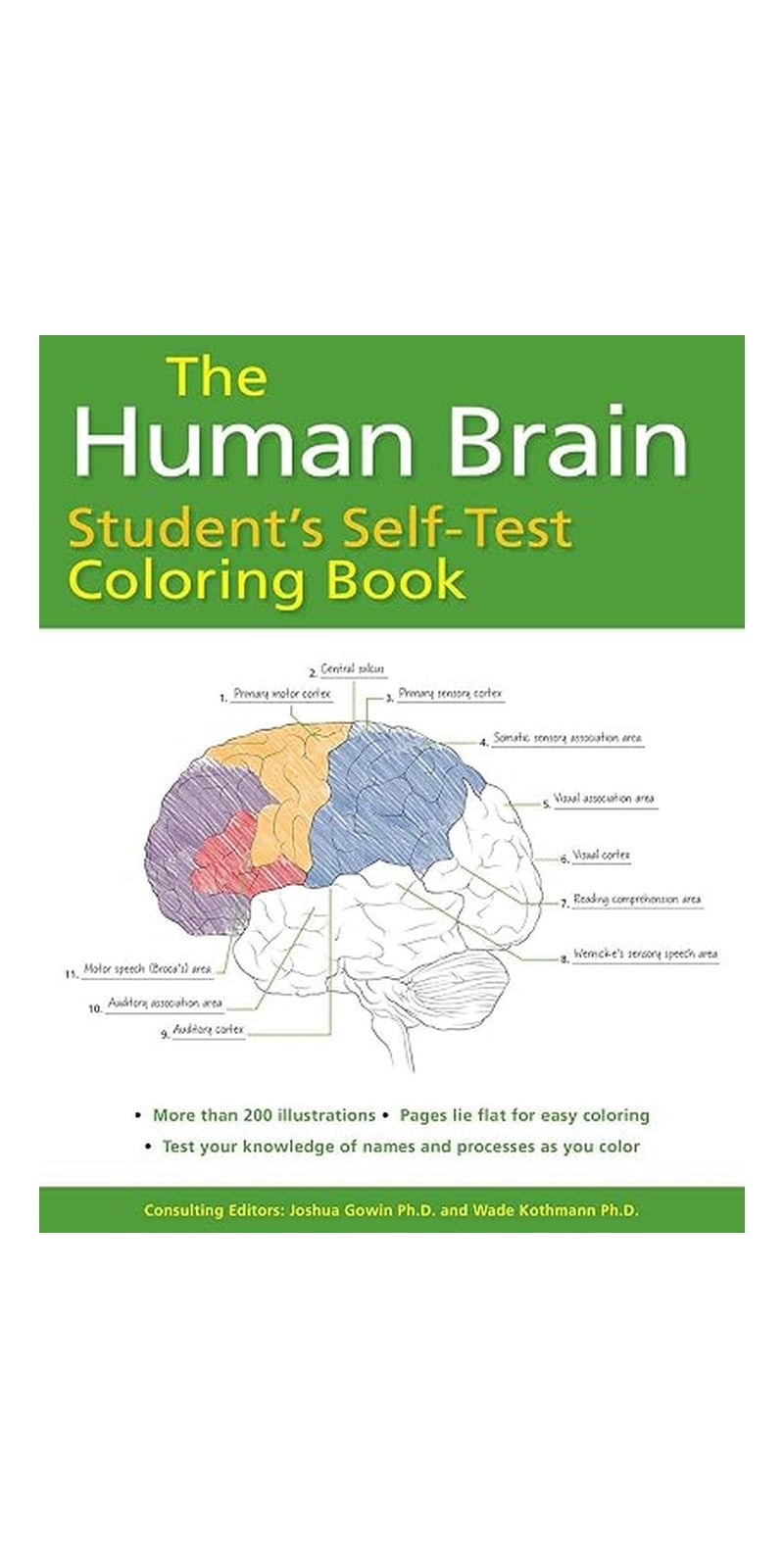Human Brain Student's Self-Test Coloring Book