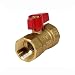 SUPPLYGIANT صمام كرة غاز فليكسترون FTGV01F01F 1 × 1 بوصة - Image 2