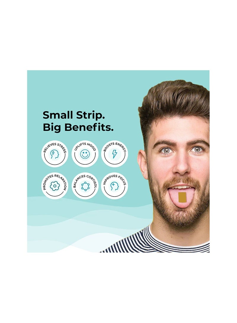 ويلبيينج نيوتريشن شرائط فموية تذوب الهدوء والاسترخاء لتقليل القلق وتحسين المزاج - Image 3