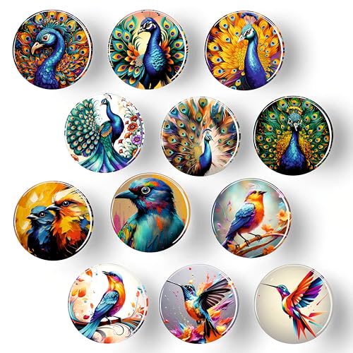 Rangoli 35mm Beautiful Birds and Peacock 3D Glass Fridge Magnets for Home Decoration Sticking Notes and Gifting (Pack of 12) - Image 1