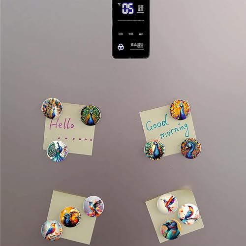 Rangoli 35mm Beautiful Birds and Peacock 3D Glass Fridge Magnets for Home Decoration Sticking Notes and Gifting (Pack of 12) - Image 5