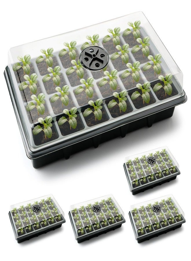 RooTrimmer Seed Starter Tray with Dome-5 Sets 24XL Cell Seedling Trays(Total 120 Cells), Plant Germination Tray with Humidity Vented Dome and Base, Mini Propagator Plant Greenhouse for Seed Growing - Image 1