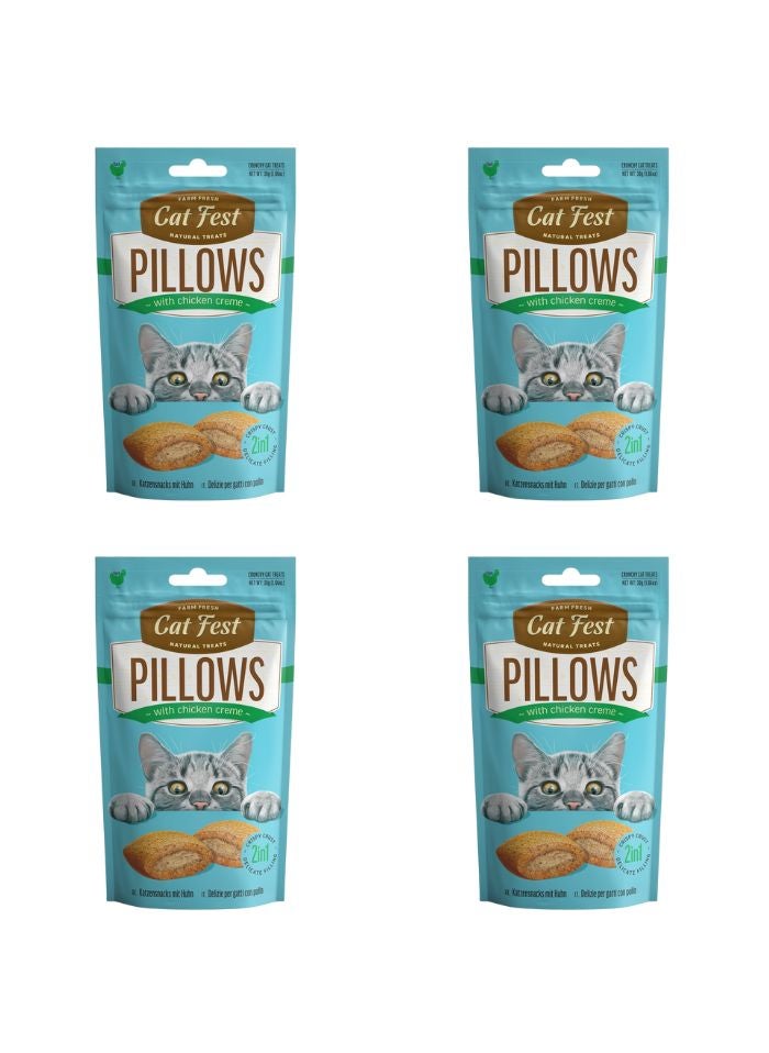 Cat Fest Pillows With Chicken Cream 30g x 4pc