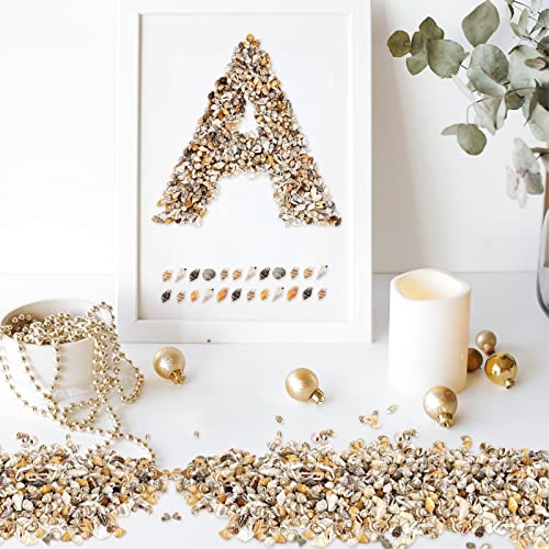 Weoxpr 2000 Pcs Tiny Sea Shells for Crafting,Mixed Ocean Beach Mini Seashells Bulk for Home Decorations,Beach Theme Party, Small Shells for Craft, Wedding Decor, Fish Tank Vase Filler(5-12 mm) - Image 3