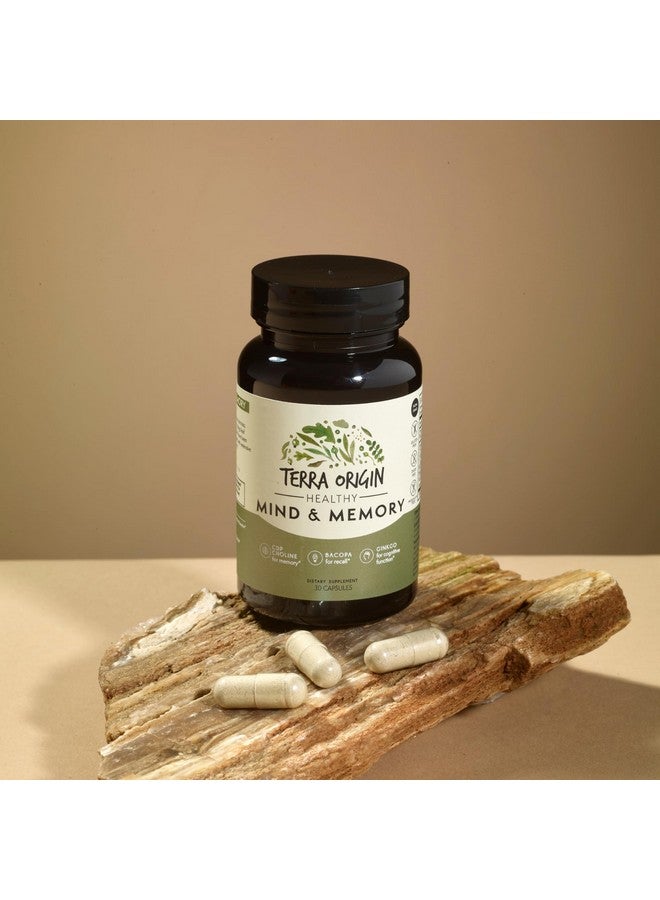 TERRA ORIGIN Healthy Mind & Memory | Cognitive Support | Nootropic Formula: CDP Choline, Bacopa, L-Tyrosine, Huperzine A, Ginko, B12 | 30 Veggie Capsules | - Image 3