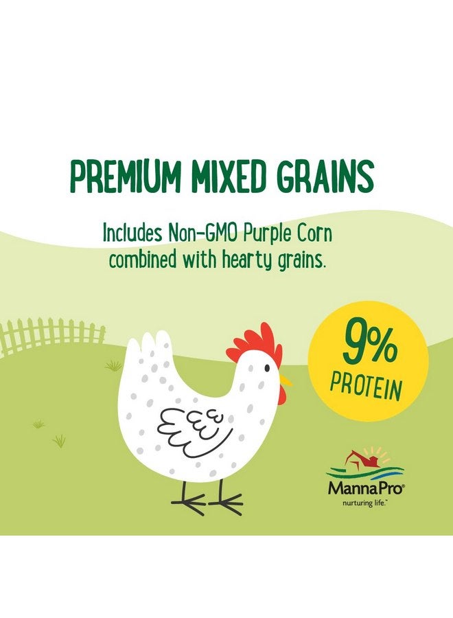 مانا برو منتجات Manna Pro Farmhouse المفضلة - خليط عباد الشمس - حبوب ممتازة للدواجن - مصنوعة من الذرة الأرجوانية غير المعدلة وراثيًا - مكمل غذائي عالي الطاقة للدواجن - كيس 10 رطل - Image 2