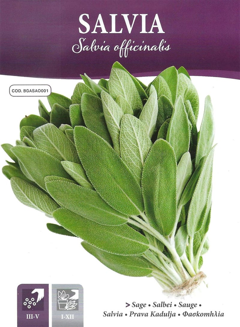 GGOOT Italian SAGE - 0.5 Gram Approx 66 PICTORIAL Packet - Image 1