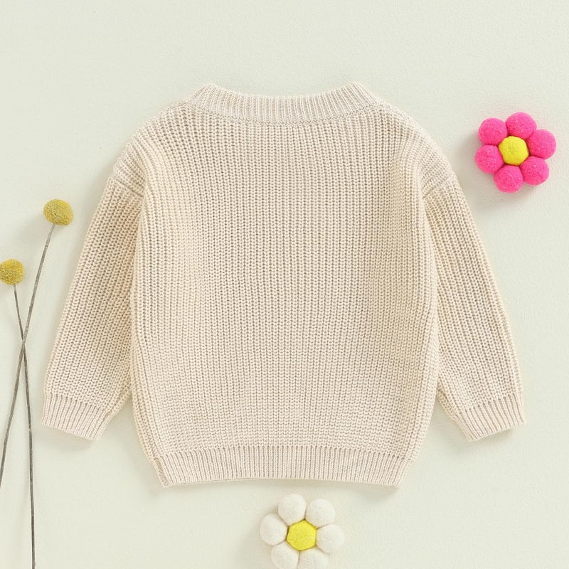 Yoawdats Toddler Baby Girl Boy Long Sleeve Knit Sweater Brothers Sisters Letter Embroidery Round Neck Pullover Fall Winter Tops (Little Sister Floral Beige, 0-3 Months) - Image 3
