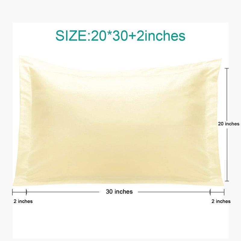 إن تي باي NTBay Queen Pillow Shams - 2 Pack Microfiber 20x30 Coverings - Super Super and Dozy Growner Resistant 20x30 Indcses Oxfordcases Ivory  - Image 4