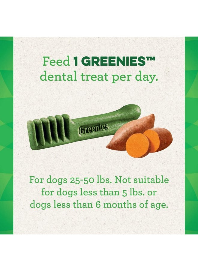 Greenies - Greenies Regular Natural Dog Dental Treats, Sweet Potato Flavor, 12 oz. Pack (12 Treats) - Image 1