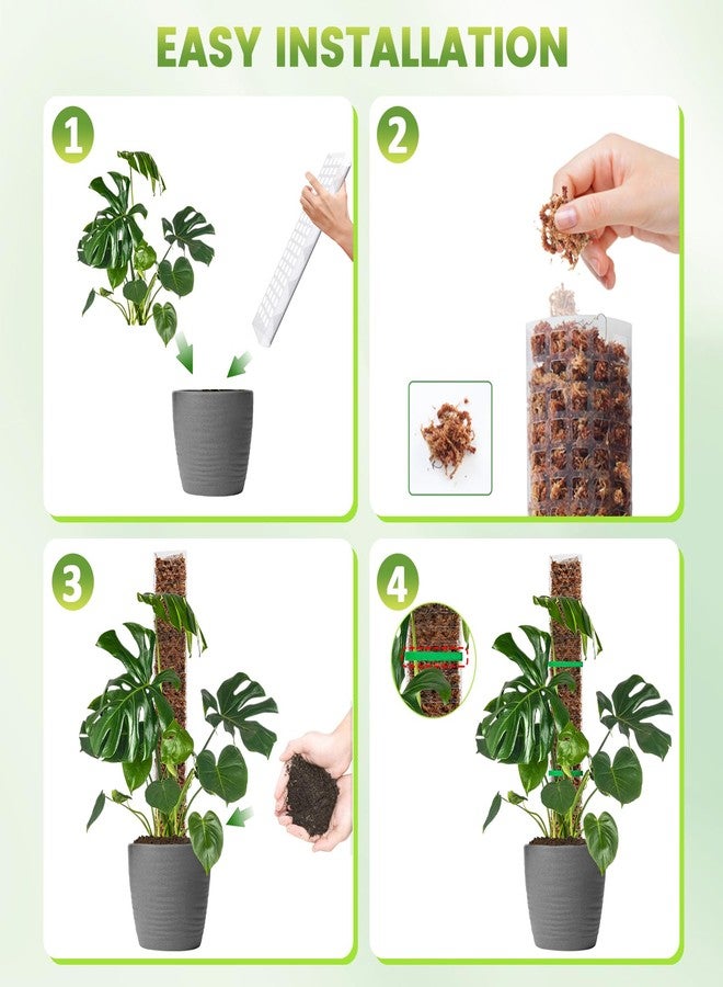 EOX 4 Pack 24" x2 + 36" x2 Plastic Moss Pole for Monstera, Large D Shaped Poles for Climbing Plants Work with Sphagnum Moss, 114 Inch Total - Image 5