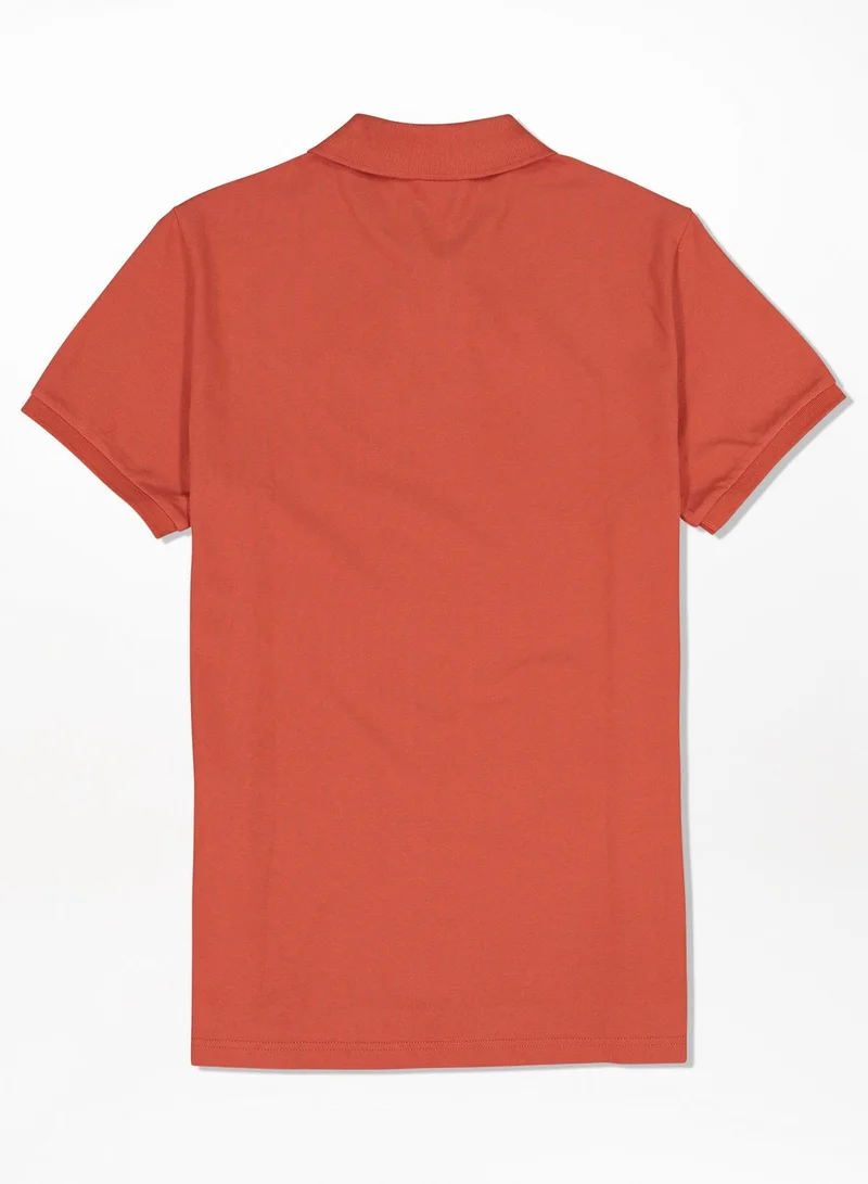 American Eagle Logo Polo