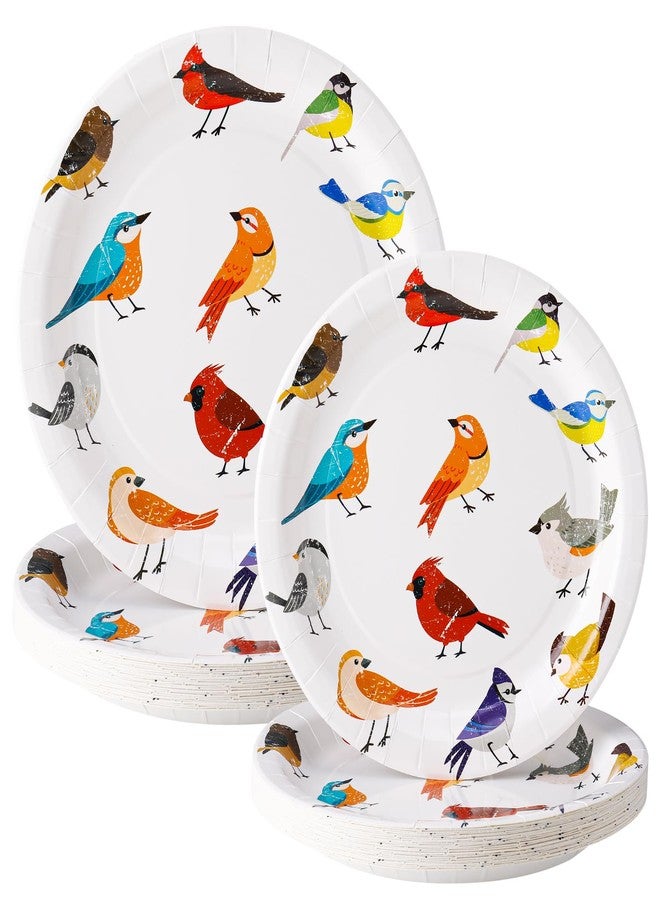 Funnymoom 48 Pcs Playful Birds Paper Plates Set Include 9 Inch and 7 Inch Colorful Little Birds Texture Disposable Plates Spring Summer Decorative Party Tableware for Home Table Party Supplies - Image 1