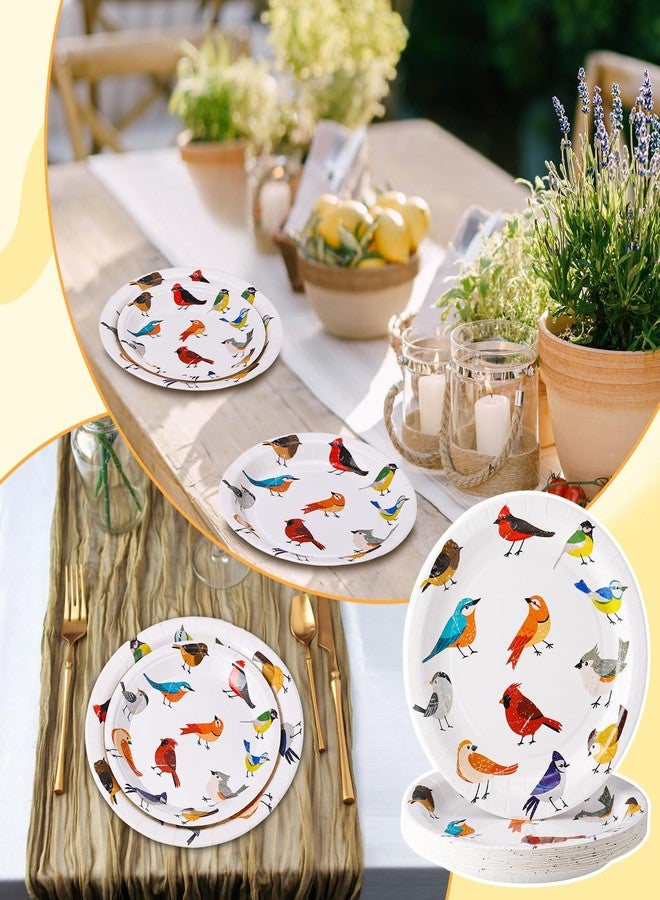 Funnymoom 48 Pcs Playful Birds Paper Plates Set Include 9 Inch and 7 Inch Colorful Little Birds Texture Disposable Plates Spring Summer Decorative Party Tableware for Home Table Party Supplies - Image 4