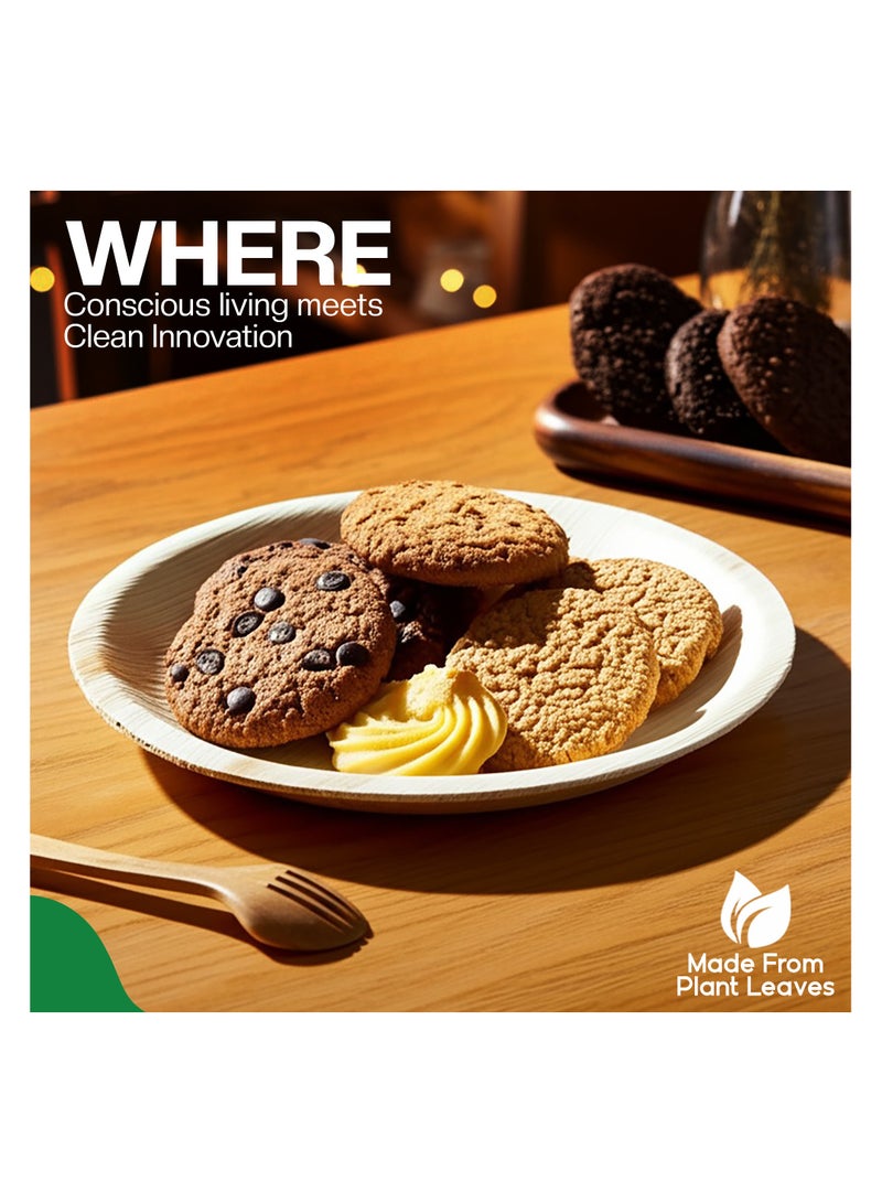 EcoEdge 8 Inch Round Areca Palm Leaf Disposable Plates (Pack of 25) | Biodegradable, Recyclable, Eco Conscious| Sturdy, Chemical Free, Microwave Friendly, Mindfully Disposable | 100% Sustainable - Image 4