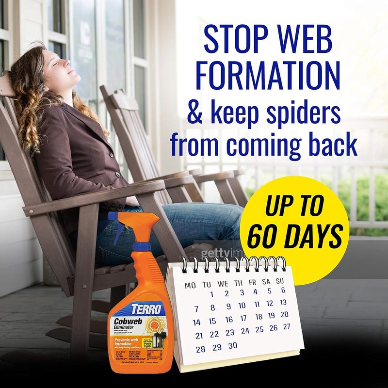 Terro Cobweb Eliminator Ready-to-Use Spray, 1 Quart 946ml Long-Lasting Web Repellent for Porch Lights, Outdoor Fixtures and Suitable Home Exterior Areas - Image 2