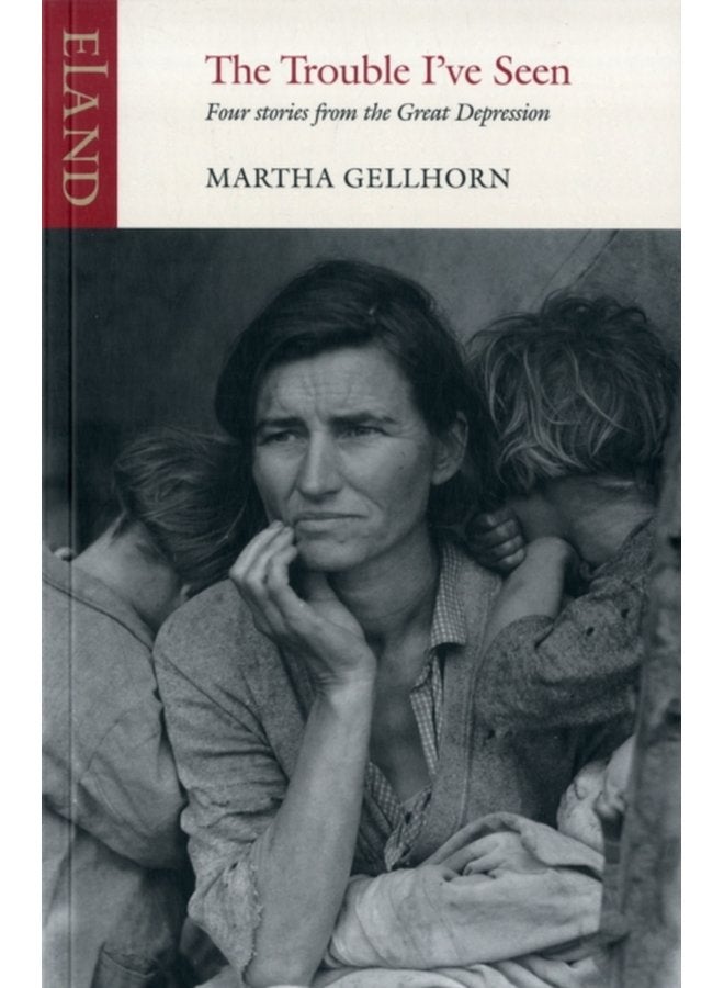 The Trouble I ve Seen - Paperback