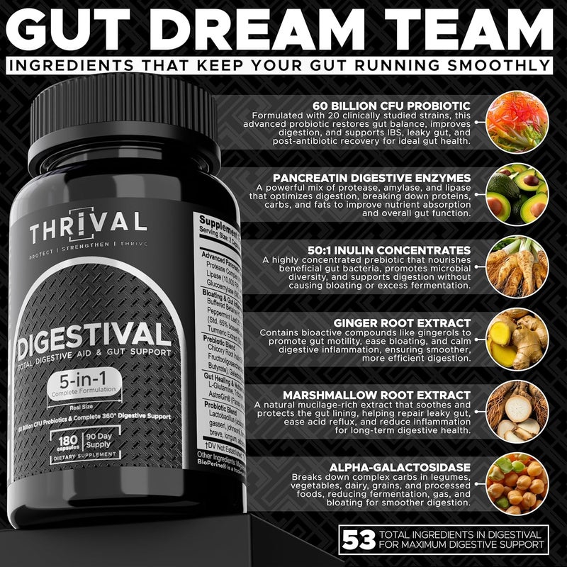 Thrival ديجيستيفال 5 في 1 صيغة صحة الأمعاء بروبيوتيك بروبيوتيك إنزيمات شفاء الأمعاء تخفيف الانتفاخ مع 53 مكون و 60 مليار CFU ودعم متقدم لمتلازمة الأمعاء المتهيجة والأمعاء المتسربة ورفاهية الهضم - Image 3