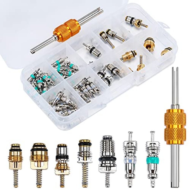 56Pcs R134a R12 AC Valve Core Quick Remover Installer Tool Kit, Universal Automotive Air Conditioning Valve Stem Cores Brass Replacement Assortment for Car Refrigeration Tire - Image 1