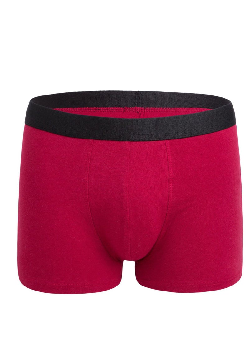 Loquat - Men Breathable Underwear Brief Boxers - Image 1