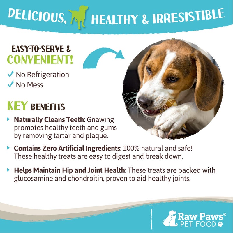 Raw Paws أقدام البط المجففة بالتجميد من راو باوز للكلاب (10 قطع) - مصنوعة في الولايات المتحدة - مضغ قابل للهضم بالكامل للكلاب - مكافآت بمكون واحد - مكافآت كاملة من أقدام البط للكلاب - Image 4