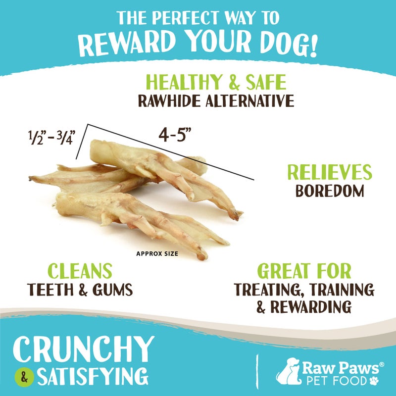 Raw Paws أقدام البط المجففة بالتجميد من راو باوز للكلاب (10 قطع) - مصنوعة في الولايات المتحدة - مضغ قابل للهضم بالكامل للكلاب - مكافآت بمكون واحد - مكافآت كاملة من أقدام البط للكلاب - Image 3