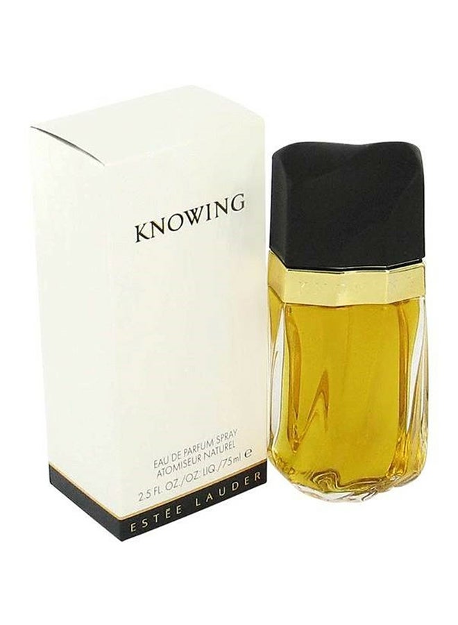 استي لودر عطر نوينج للنساء 75ملليلتر - Image 2