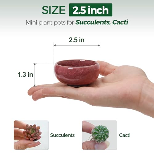 T4U 2.5 Inch Small Ceramic Succulent Planter Pot with Drainage Hole Set of 12, Ice Crack Glaze Plant Container for Cactus, Plant Lover Gifts for Women Mom Aunt Home Office Decor - Image 2