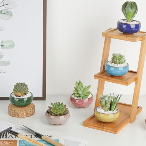 T4U 2.5 Inch Small Ceramic Succulent Planter Pot with Drainage Hole Set of 12, Ice Crack Glaze Plant Container for Cactus, Plant Lover Gifts for Women Mom Aunt Home Office Decor - Image 5