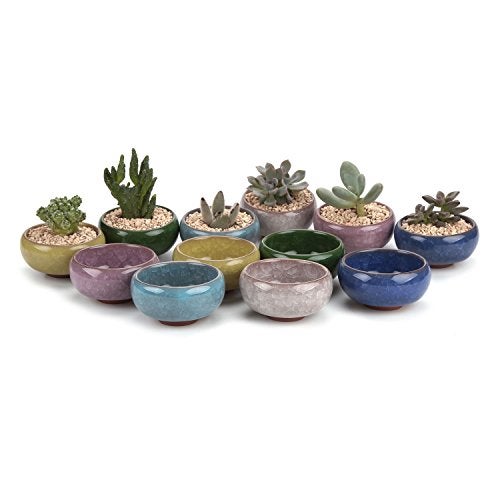 T4U 2.5 Inch Small Ceramic Succulent Planter Pot with Drainage Hole Set of 12, Ice Crack Glaze Plant Container for Cactus, Plant Lover Gifts for Women Mom Aunt Home Office Decor - Image 1