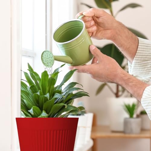 IMAGINEA 12 Inch Flower Pot for Home Decoration | Big Size Plastic Pot for Living Room, Office | Gamla for Home, Laws & Garden Décor | Pots for Balcony | Large Pots for Garden (Red, Pack of 2) - Image 5