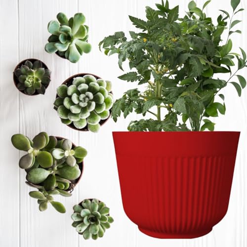 IMAGINEA 12 Inch Flower Pot for Home Decoration | Big Size Plastic Pot for Living Room, Office | Gamla for Home, Laws & Garden Décor | Pots for Balcony | Large Pots for Garden (Red, Pack of 2) - Image 4