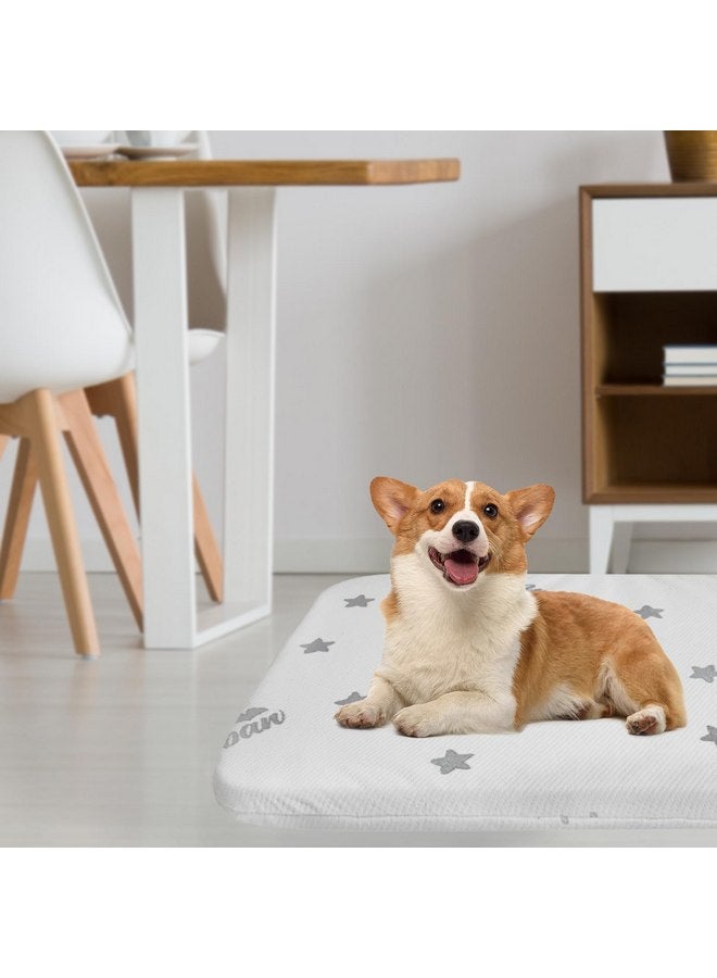 بيلوبان أسرّة الكلاب المقاومة للماء من Biloban للكلاب (الكبيرة)، وسائد قابلة للغسل أو وسائد للحيوانات الأليفة، وأسرّة وأثاث من الإسفنج الذكي للكلاب الصغيرة/المتوسطة/الكبيرة جدًا/الكبيرة جدًا جدًا مع غطاء قابل للإزالة (رمادي فاتح) - Image 3