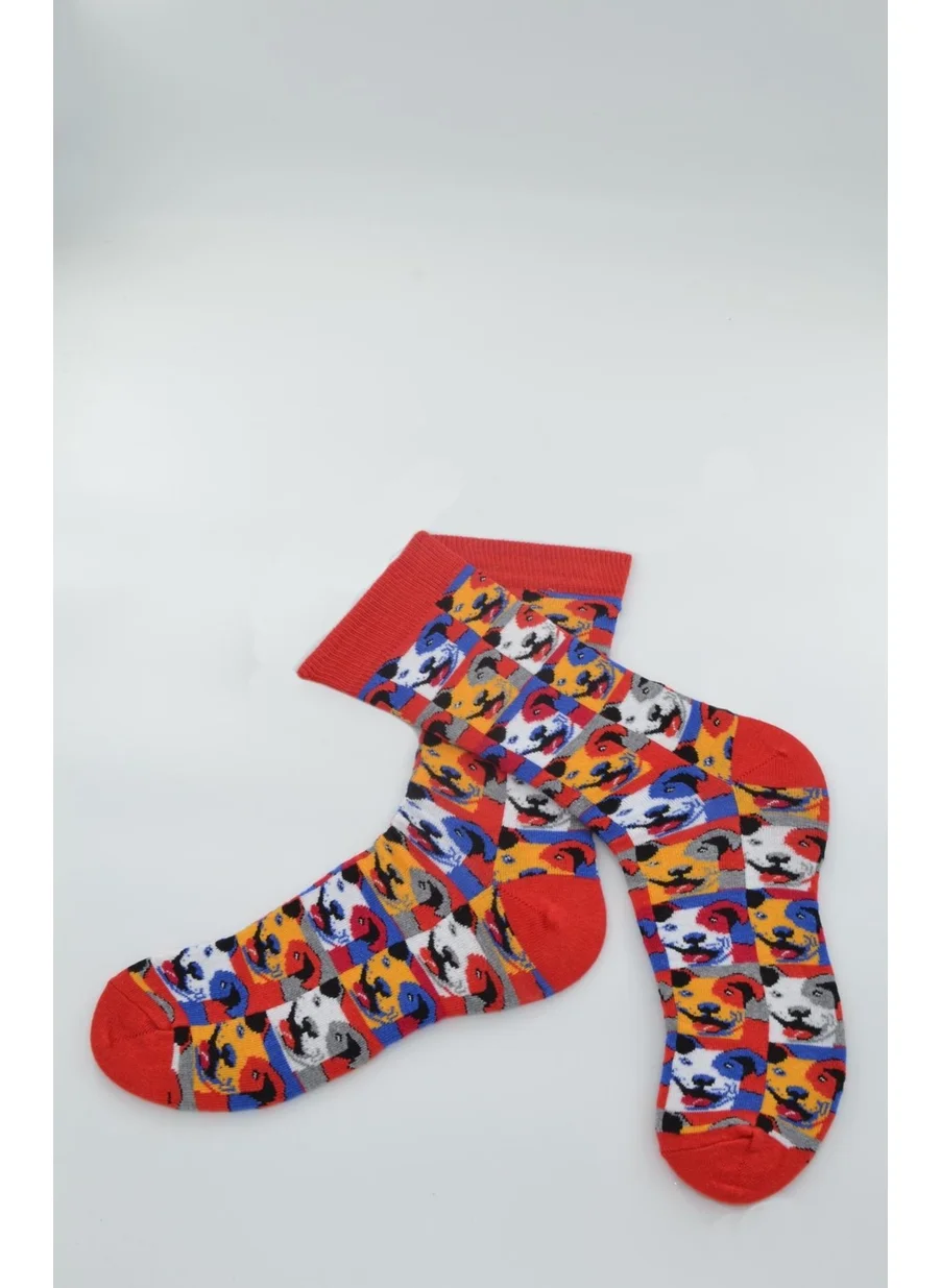 Dode Flora Animated Men's Socks (Dog Pattern) - (40/44)