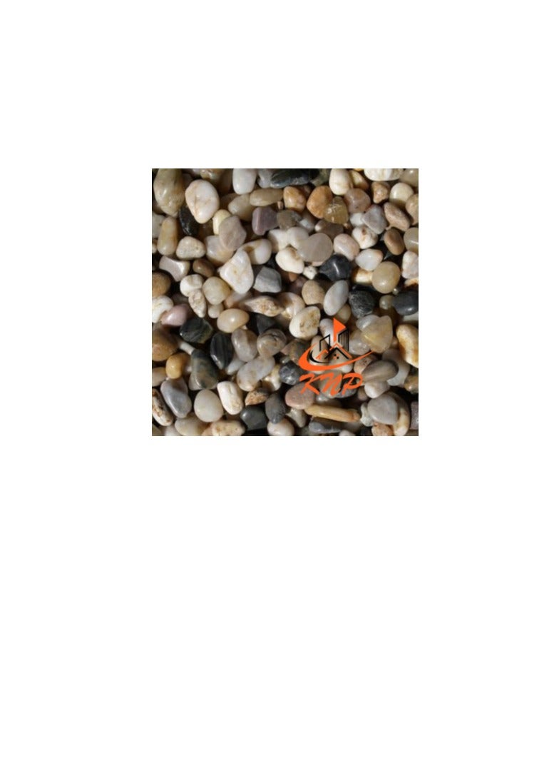 كنب حصى مختلطة 1-2 سم 20 كجم حصى نهرية طبيعية - Image 3