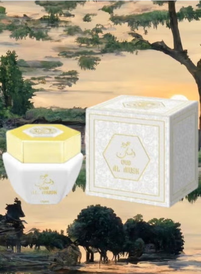 المصباح 2 قطع بخور عود المسك - Image 2