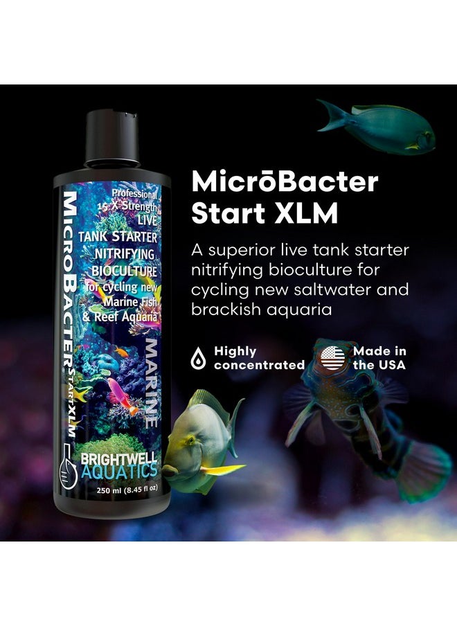 Brightwell Aquatics - Microbacter Start Xlm  Concentrated Saltwater Nitrifying Bacteria  Quick Start Fish Tank Starter, Lift Microbe Levels & Water Filtering  Marine Aquarium Treatments, 8.45 Fl Oz - Image 1