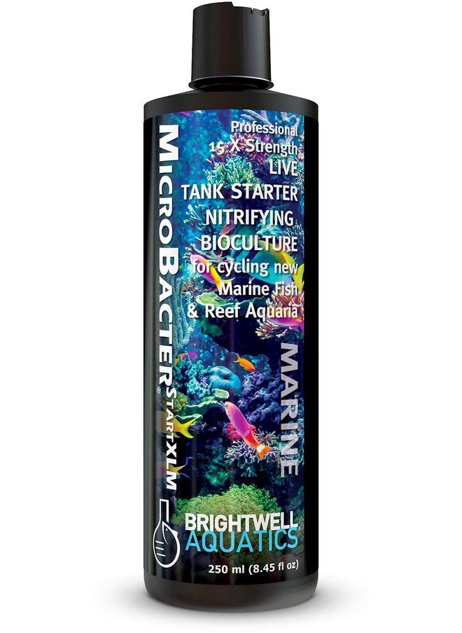 Brightwell Aquatics - Microbacter Start Xlm  Concentrated Saltwater Nitrifying Bacteria  Quick Start Fish Tank Starter, Lift Microbe Levels & Water Filtering  Marine Aquarium Treatments, 8.45 Fl Oz - Image 1