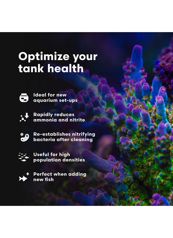 Brightwell Aquatics - Microbacter Start Xlm  Concentrated Saltwater Nitrifying Bacteria  Quick Start Fish Tank Starter, Lift Microbe Levels & Water Filtering  Marine Aquarium Treatments, 8.45 Fl Oz - Image 1
