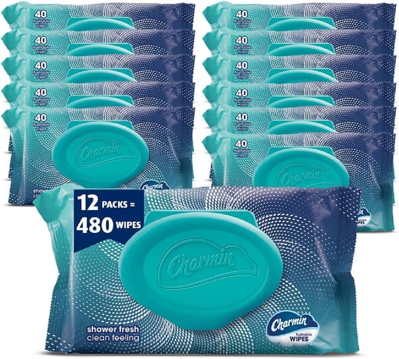 Charmin Flushable Wipes - 480 Total Wipes (12 Packs of 40) for a Shower Fresh Clean Feeling - Image 1