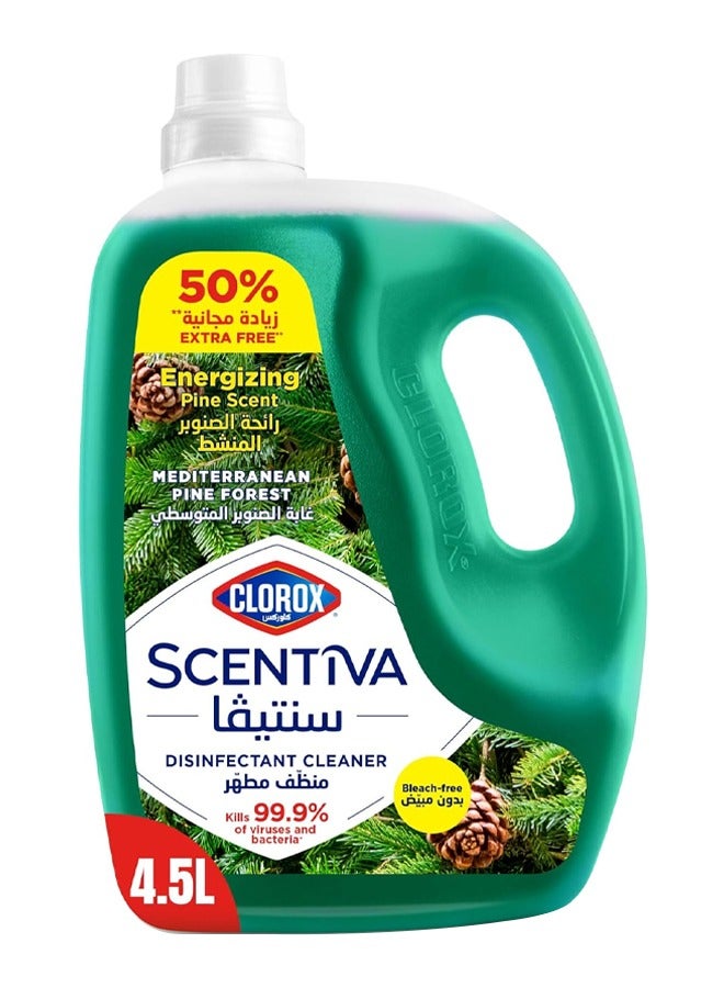 Clorox Relaxing Lavender Scent Disinfectant Cleaner - Mediterranean Pine Forest 4.5L - Image 1