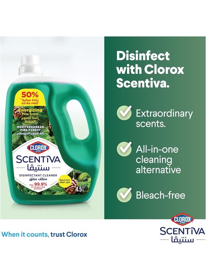 Clorox Relaxing Lavender Scent Disinfectant Cleaner - Mediterranean Pine Forest 4.5L - Image 5