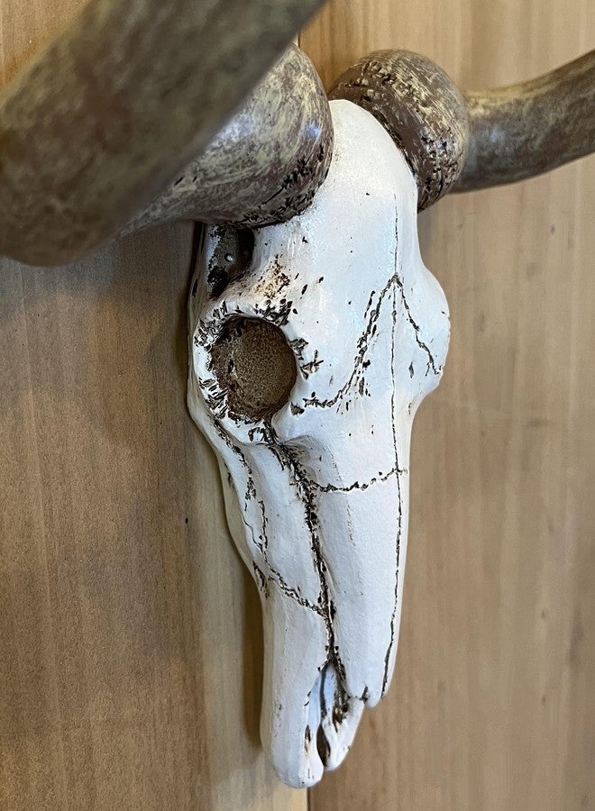 Top Brass Bull/Cow Skull Wall Mount Toilet Paper Holder - Rustic Western Bathroom Décor - Image 4