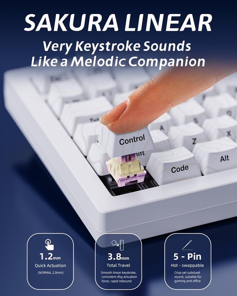 ZORNHER ZH870 Wireless Gaming Mechanical Keyboard,80% White Custom Creamy Sound Keyboard with Lighted Up White Topographic Keycaps,Creamy Sounding Linear Switches,Hot-Swappable,RGB Backlit - Image 5