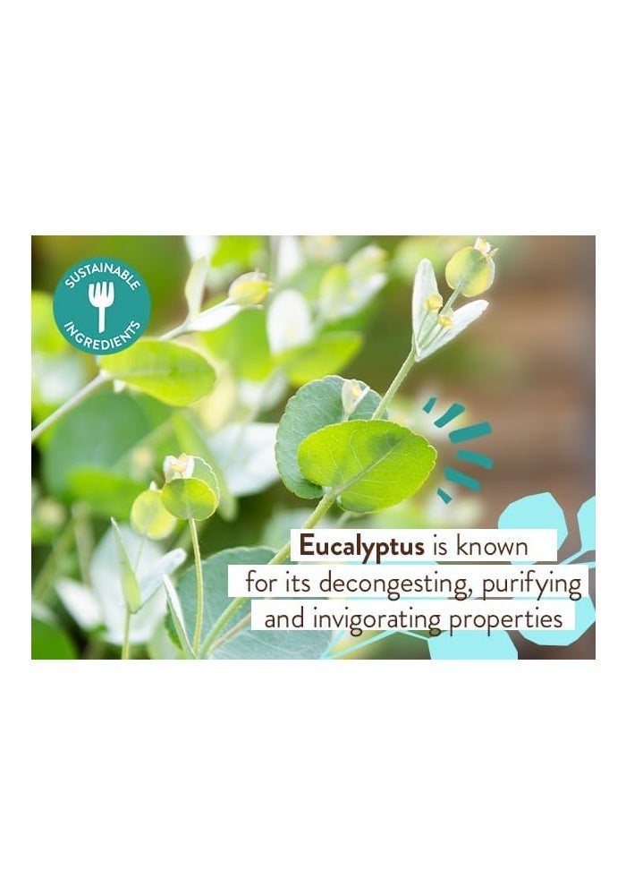 Babo Botanicals Eucalyptus Remedy Plant-Based 3-in-1 Shampoo, Bubble Bath & Wash - Image 5
