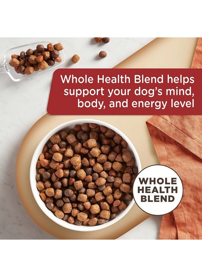 راتشل راي - طعام الكلاب الجاف الطبيعي الممتاز من Nutrish مع إضافة الفيتامينات والمعادن والتورين، وصفة لحم البقر الحقيقي والبازلاء والأرز البني، 6 أرطال (قد يختلف التغليف) - Image 1