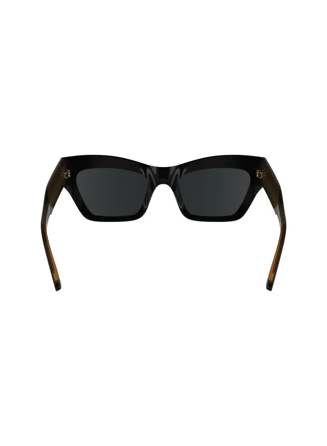 Calvin Klein  FULL RIM ACETATE CALVIN KLEIN SUN CK24531S  | Best Price UAE