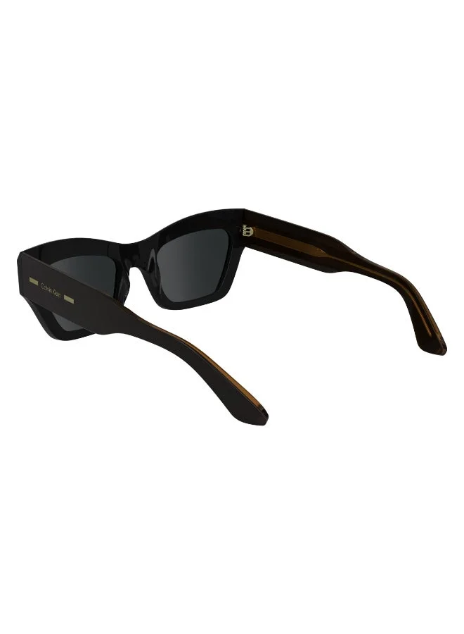 Calvin Klein  FULL RIM ACETATE CALVIN KLEIN SUN CK24531S  | Best Price UAE